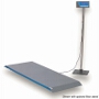 Avery Weigh-Tronix / Brecknell PS1000 / PS2000 Floor Scale